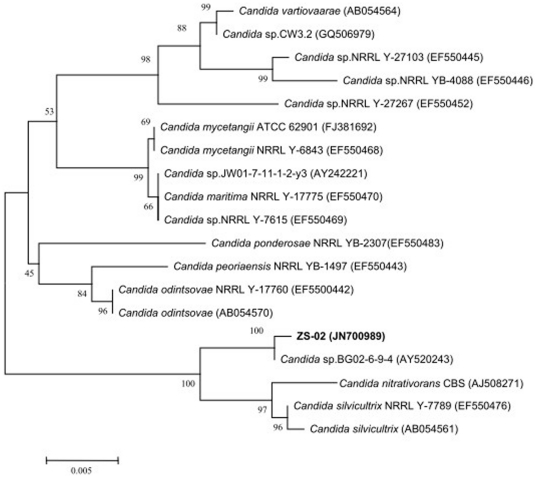 Figure 2