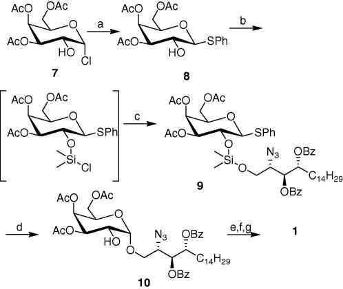 Scheme 3