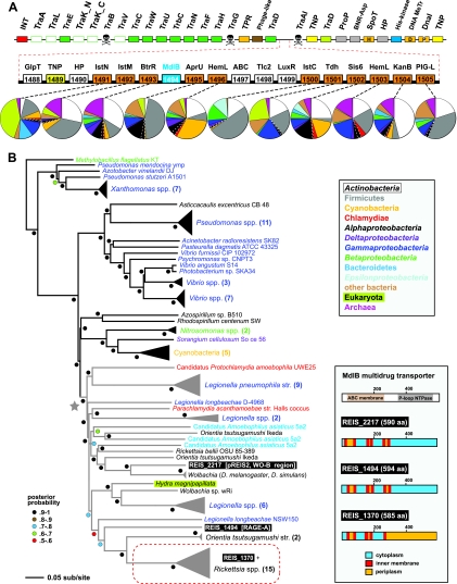 Fig 6