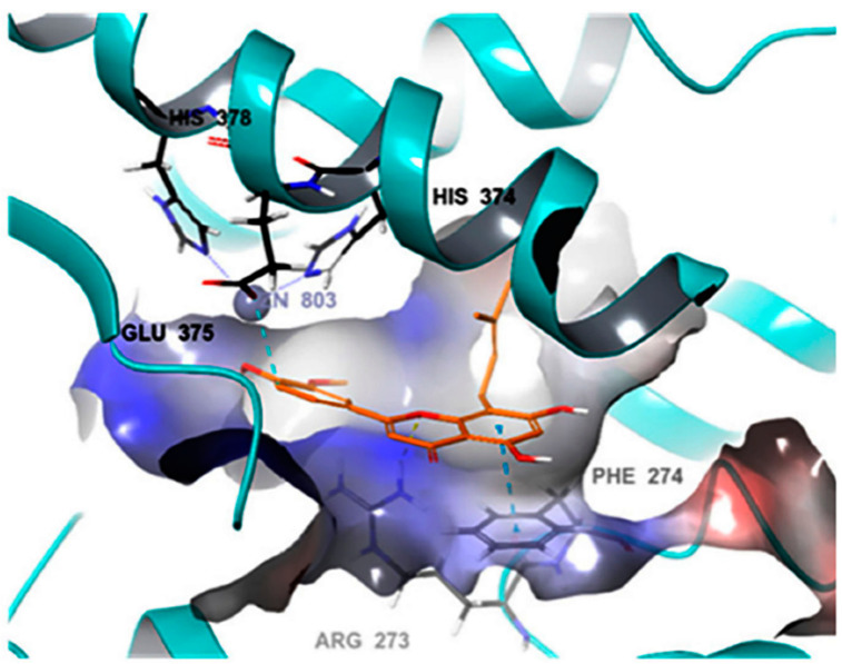 Figure 4