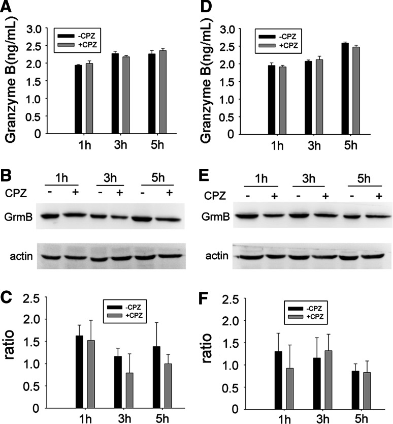 Fig. 9