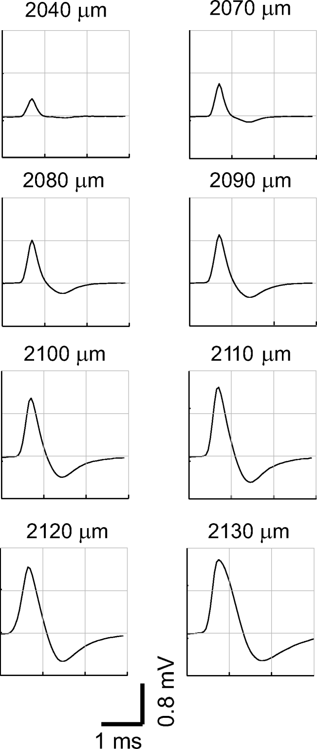 Fig. 2.