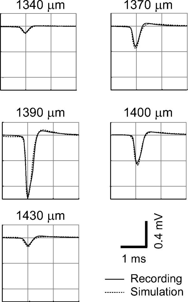 Fig. 5.