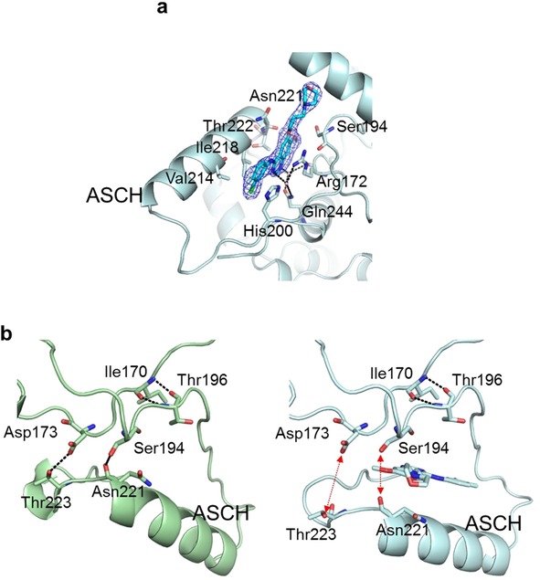 Figure 4