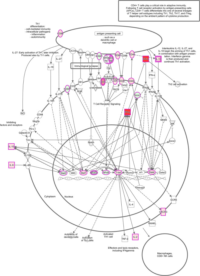 Figure 4