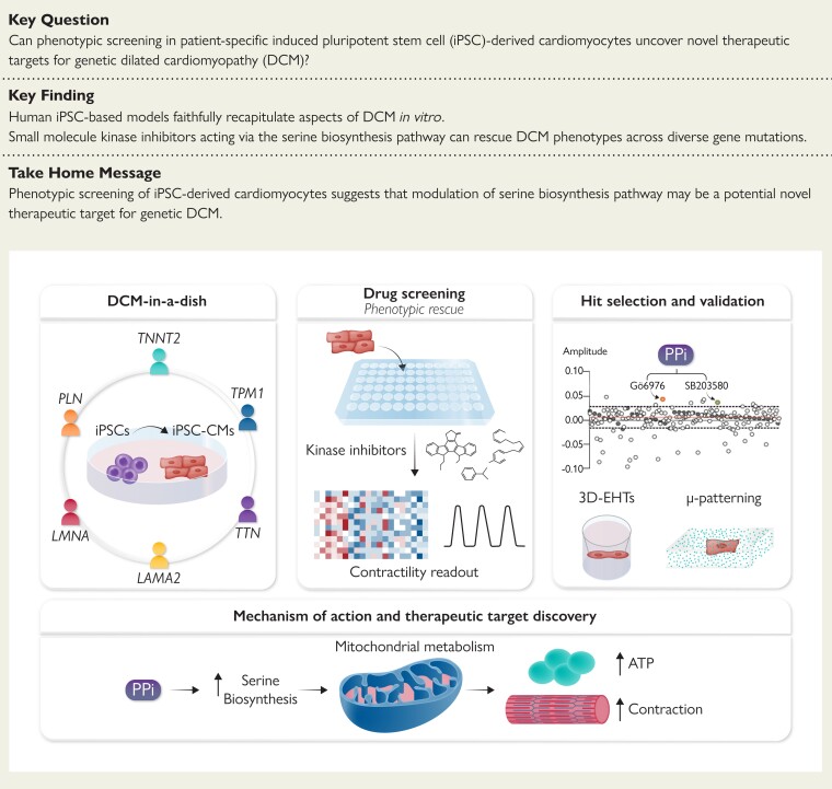 Structured Graphical Abstract