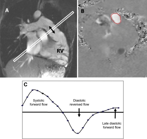 Figure 2