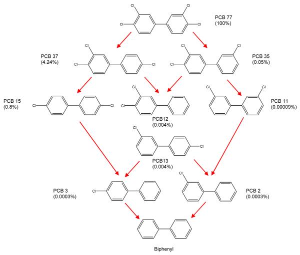 Scheme 3