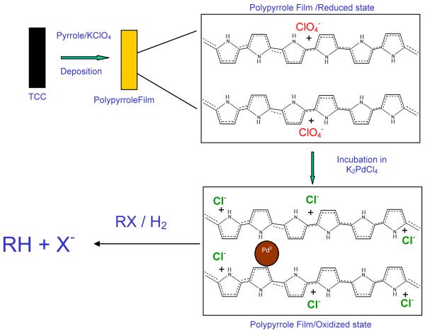 Scheme 2