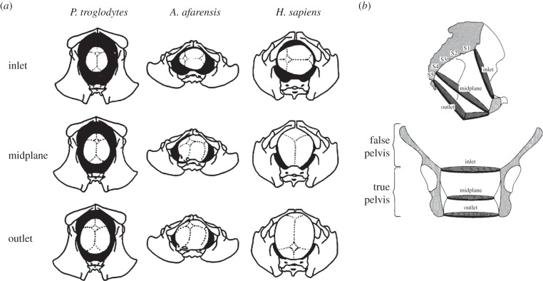 Figure 2.