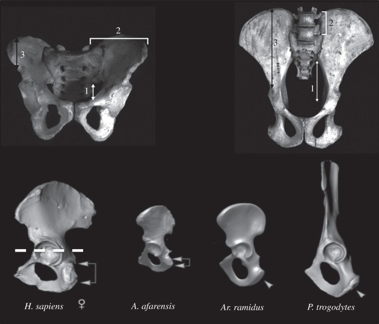 Figure 1.