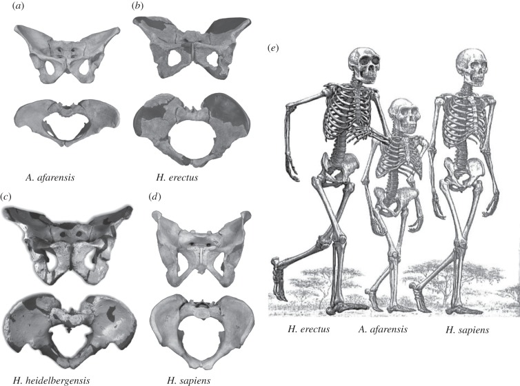 Figure 3.