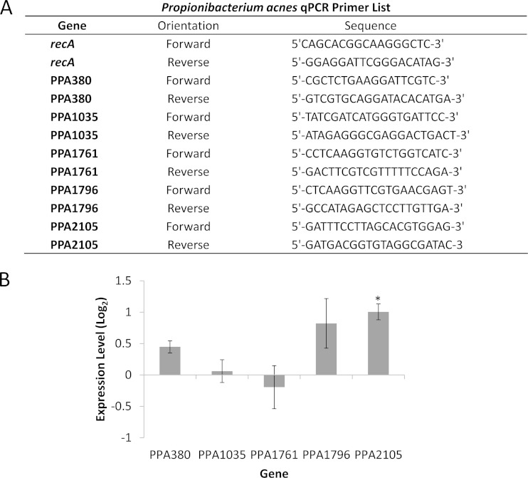 FIG 6