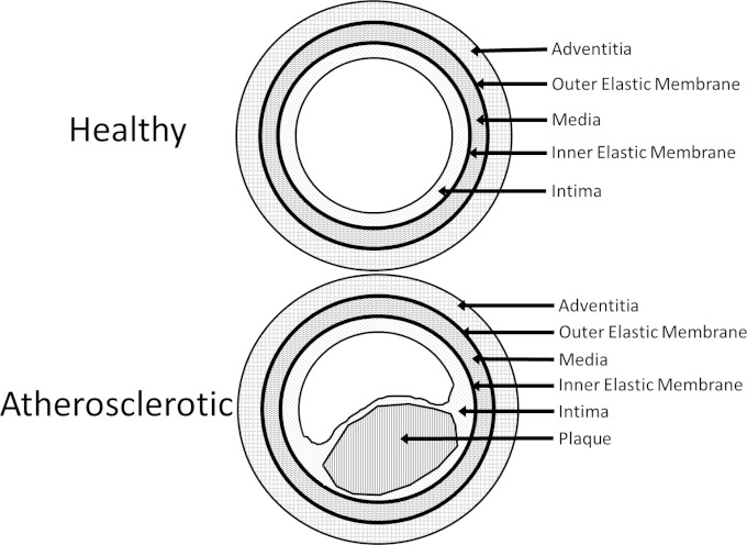 FIG 2