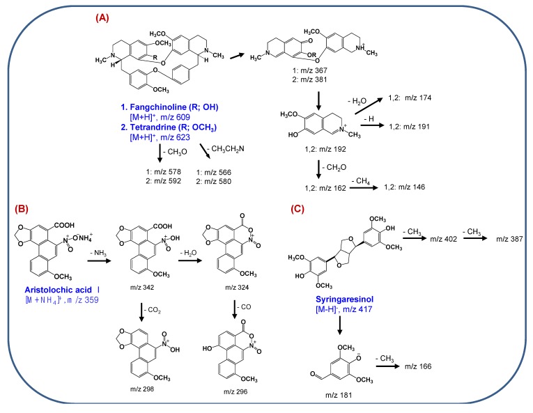 Scheme 2