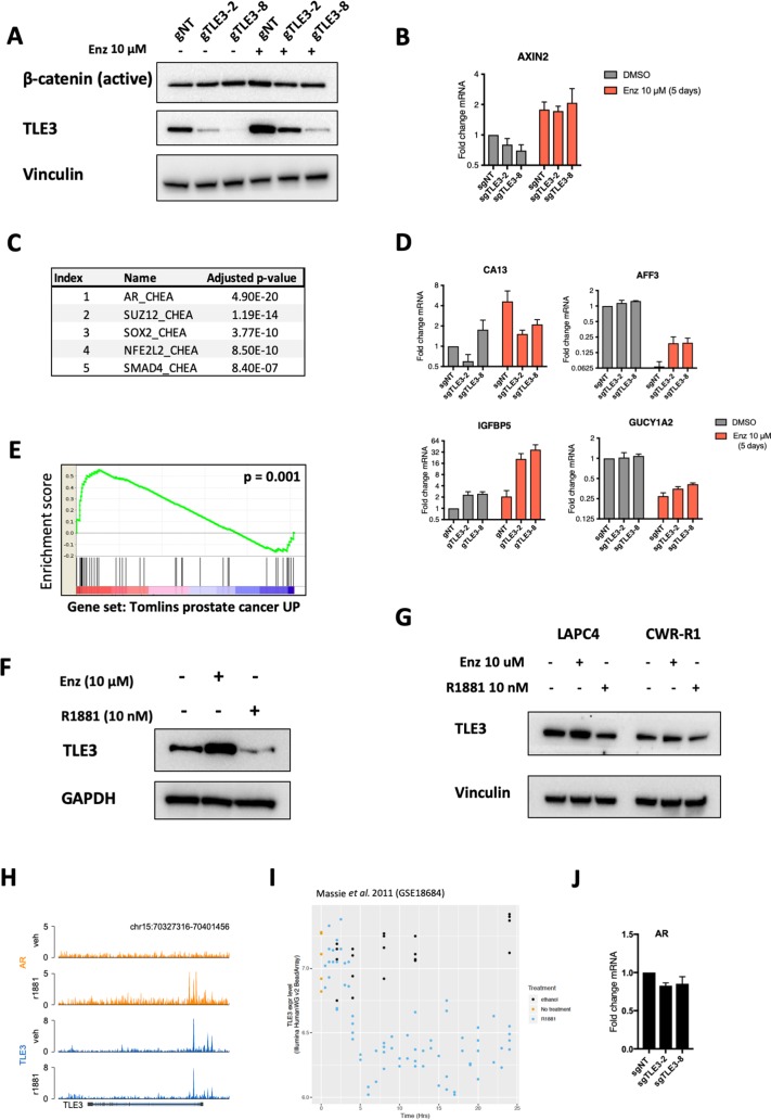 Figure 2—figure supplement 1.