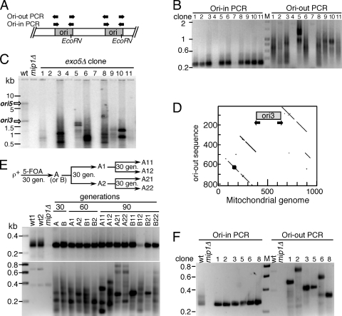 FIG. 6.