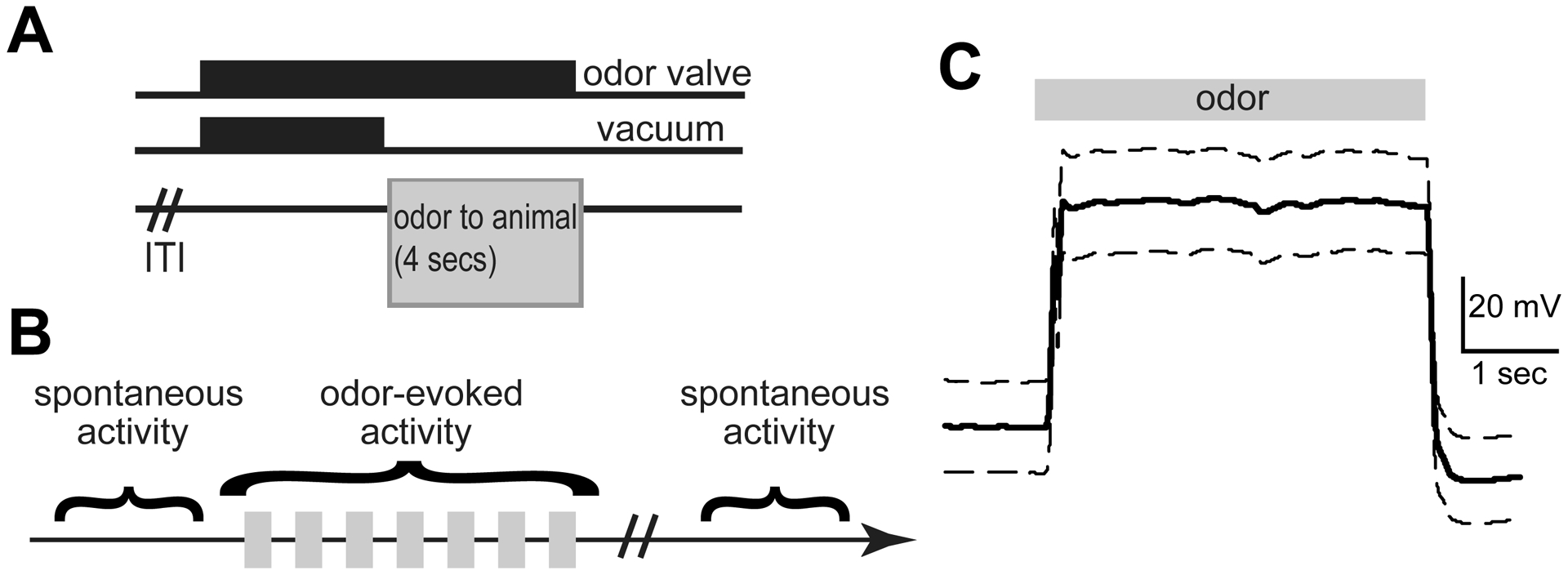 Fig 3.