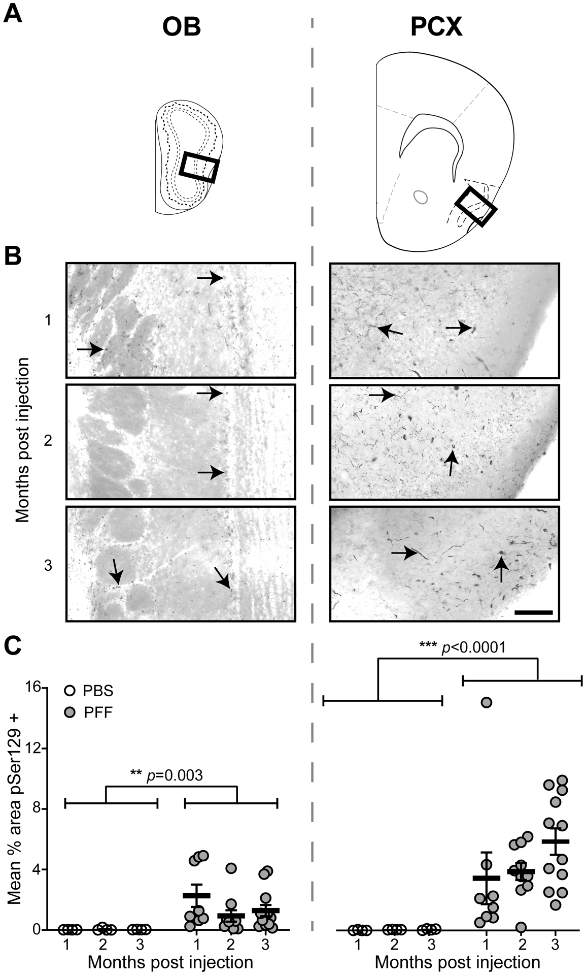 Fig 4.