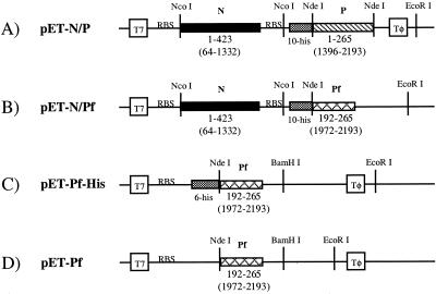 FIG. 1