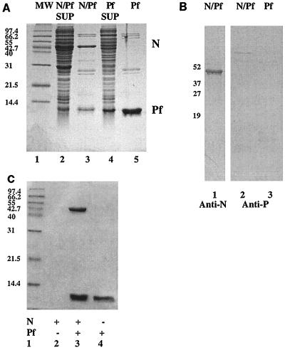 FIG. 4