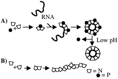 FIG. 8