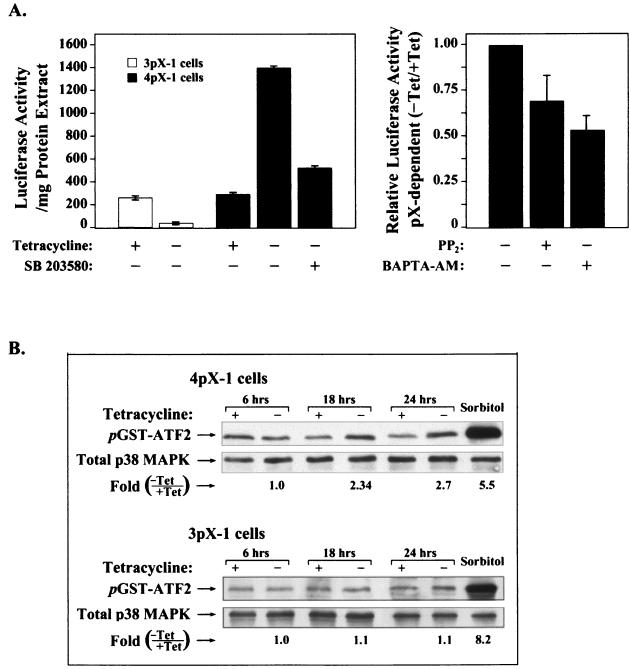 FIG. 4.