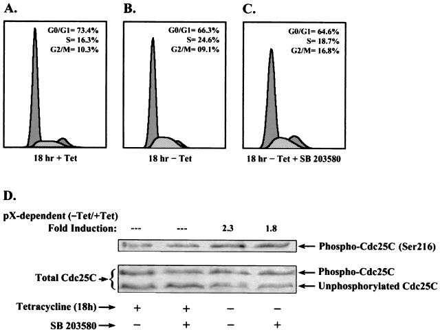 FIG. 5.