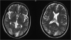 Figures 1:
