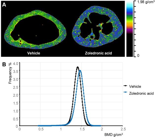 Fig. 8.