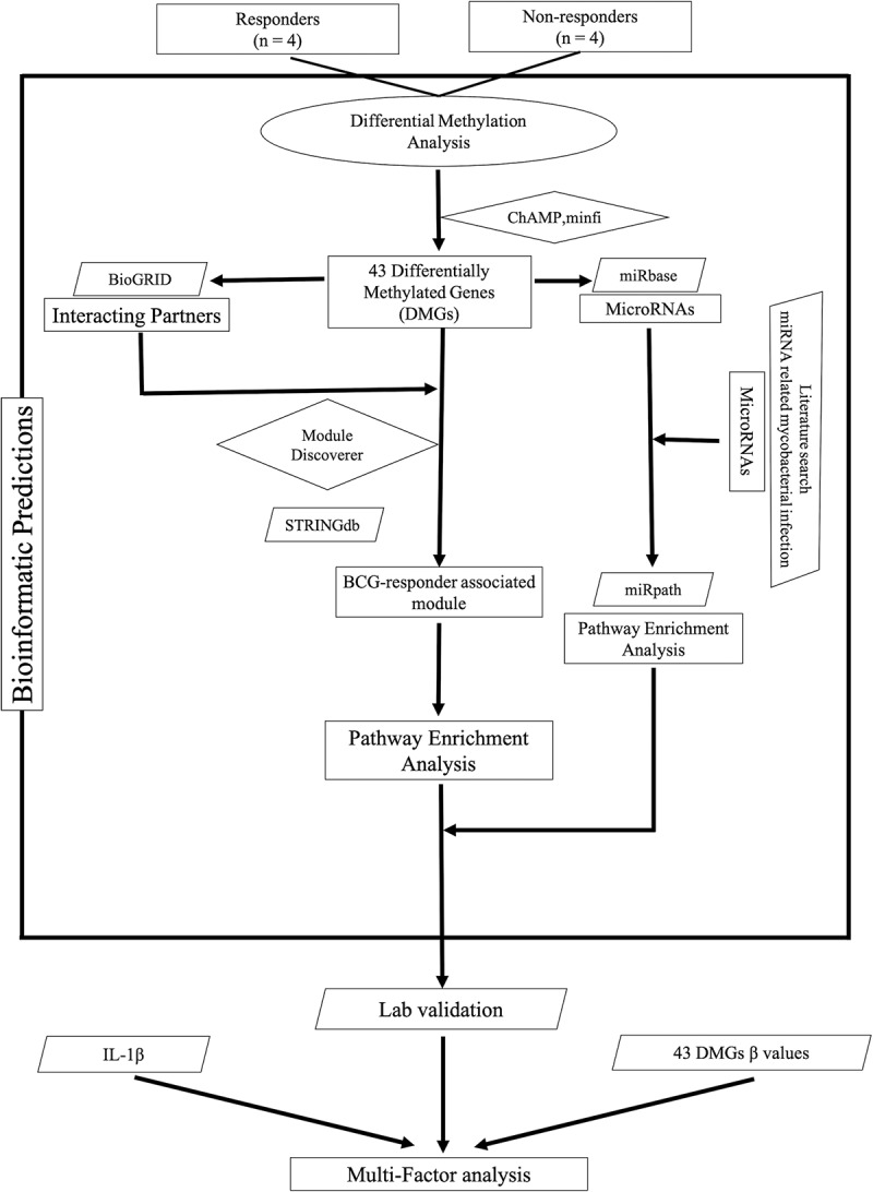 Figure 1.