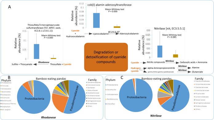 FIG 3 