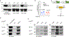 Extended Data Fig. 4 |