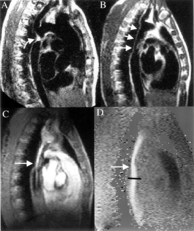 Figure 1:  