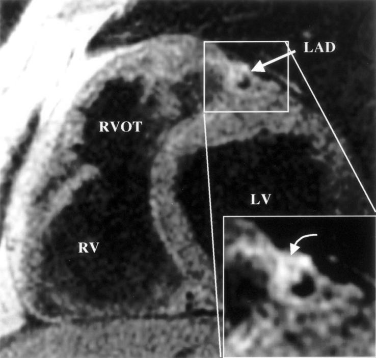 Figure 10:  