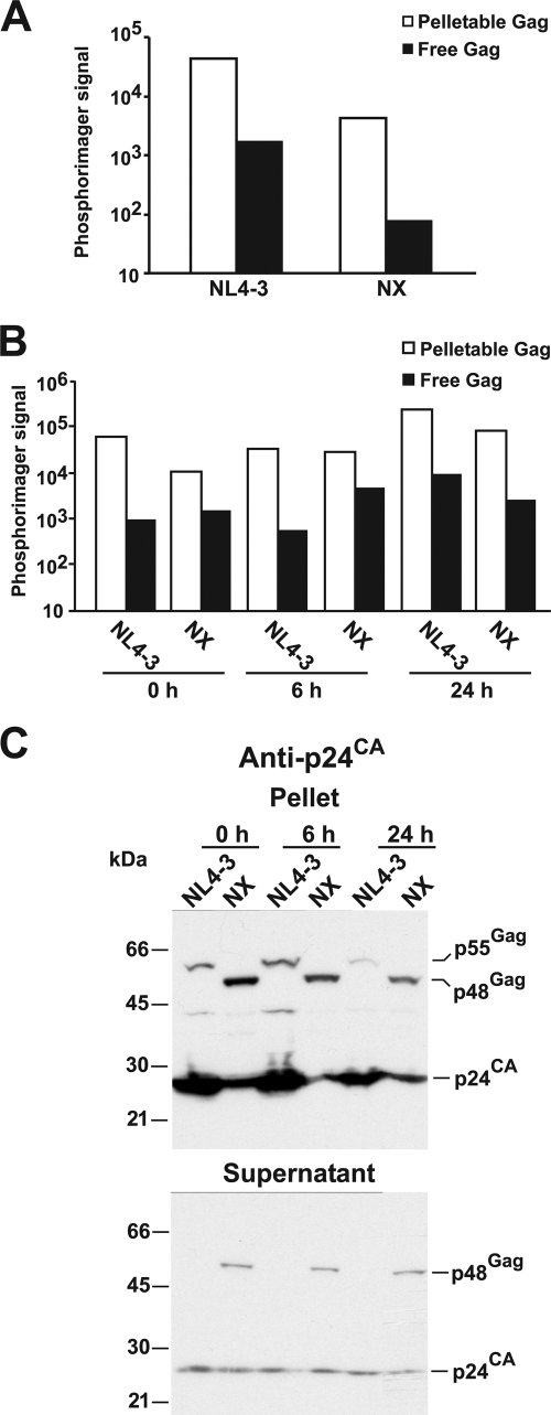 FIG. 1.