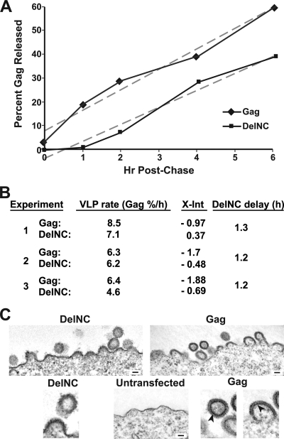 FIG. 6.