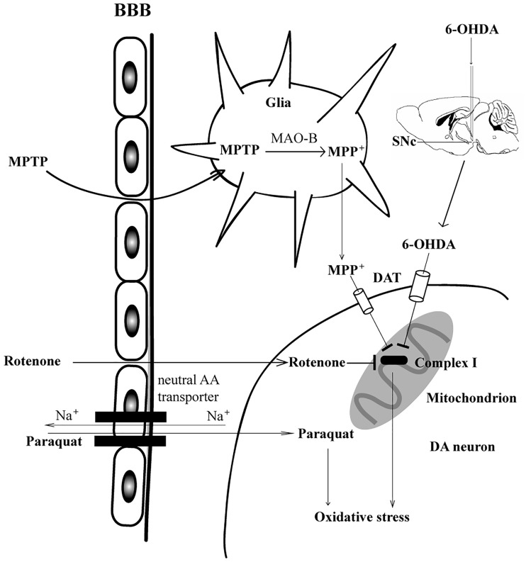 Figure 2.