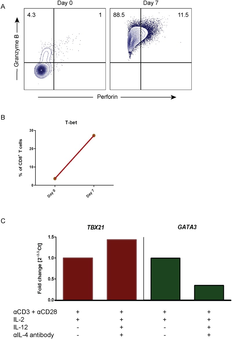 Fig 5