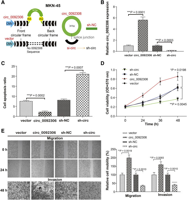 Figure 2