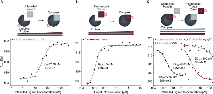 Figure 2