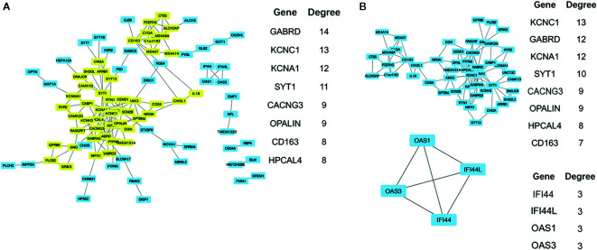 Figure 5