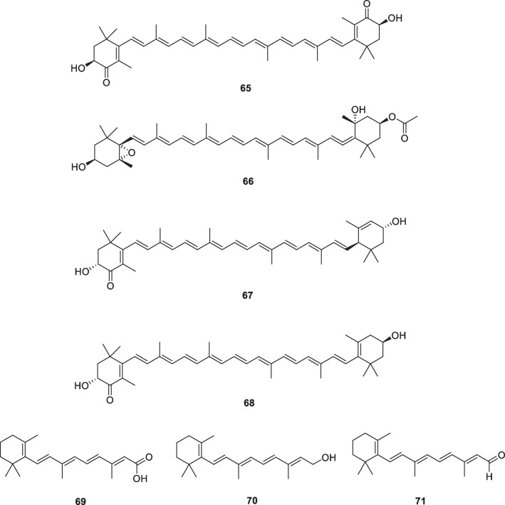 Fig. 10