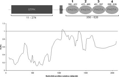 FIG. 1.