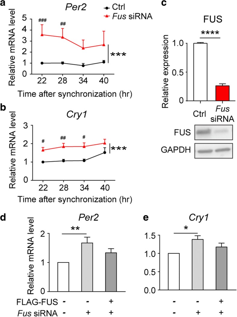 Neurodegeneration-associated FUS is a novel regulator of circadian gene ...