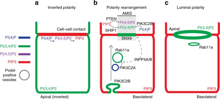 Fig. 10