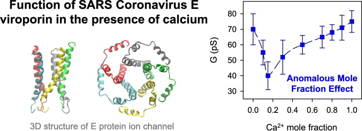 Unlabelled Image