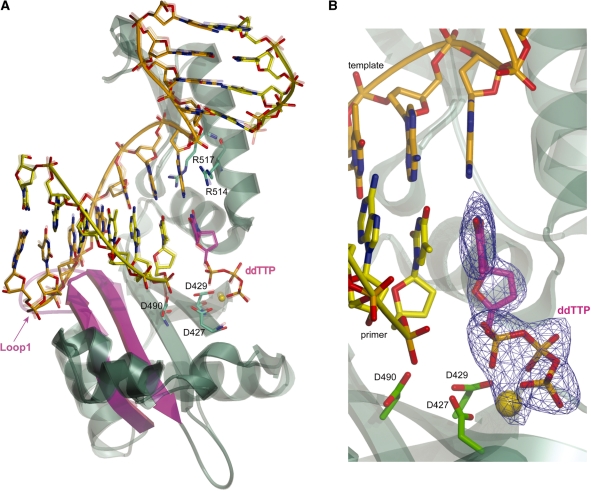 Figure 5.