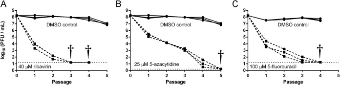 FIG 6