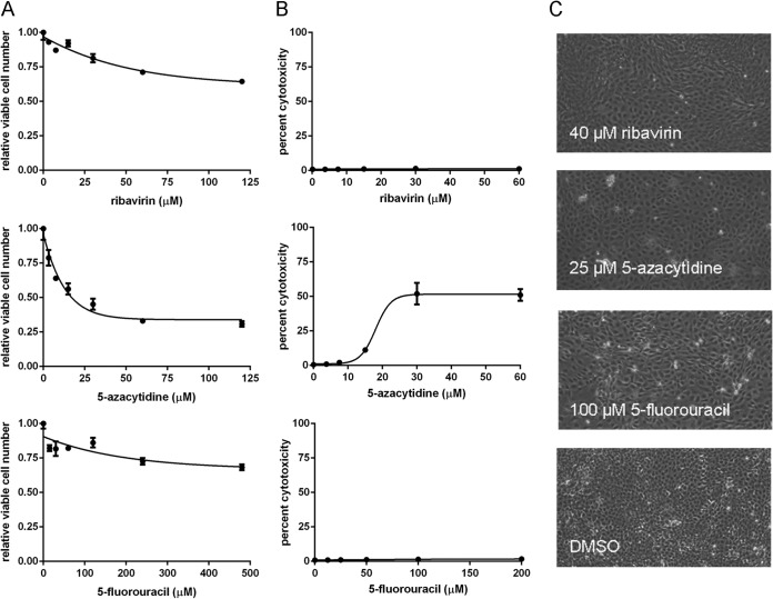 FIG 2